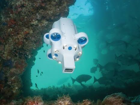 Underwater remotely operated vehicle inspecting a submerged reef structure